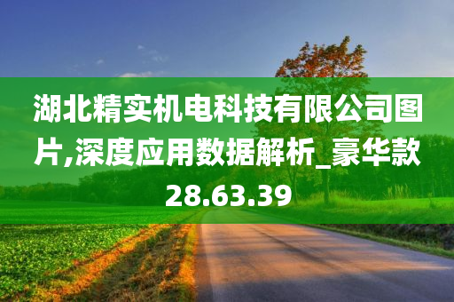 湖北精实机电科技有限公司图片,深度应用数据解析_豪华款28.63.39