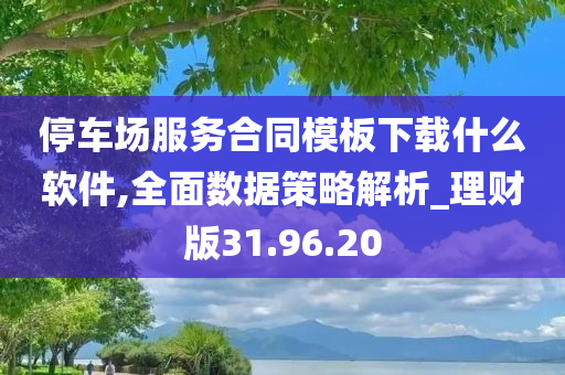 停车场服务合同模板下载什么软件,全面数据策略解析_理财版31.96.20