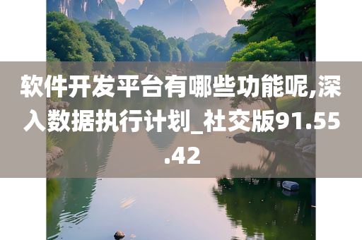 软件开发平台有哪些功能呢,深入数据执行计划_社交版91.55.42