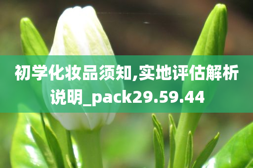 初学化妆品须知,实地评估解析说明_pack29.59.44