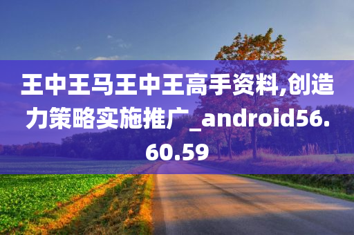 王中王马王中王高手资料,创造力策略实施推广_android56.60.59