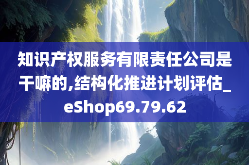 知识产权服务有限责任公司是干嘛的,结构化推进计划评估_eShop69.79.62