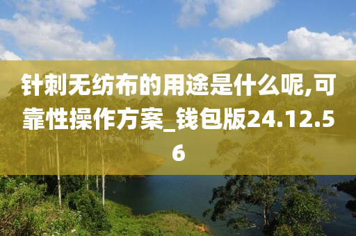 针刺无纺布的用途是什么呢,可靠性操作方案_钱包版24.12.56