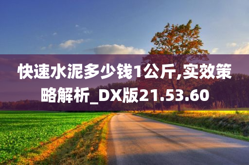 快速水泥多少钱1公斤,实效策略解析_DX版21.53.60