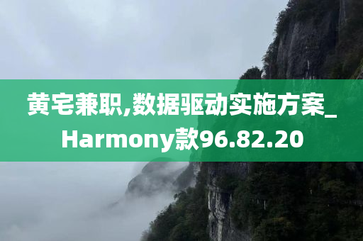 黄宅兼职,数据驱动实施方案_Harmony款96.82.20