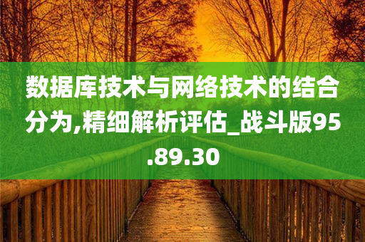 数据库技术与网络技术的结合分为,精细解析评估_战斗版95.89.30