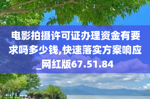 电影拍摄许可证办理资金有要求吗多少钱,快速落实方案响应_网红版67.51.84