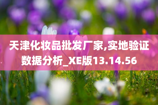 天津化妆品批发厂家,实地验证数据分析_XE版13.14.56