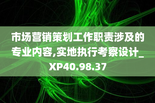 市场营销策划工作职责涉及的专业内容,实地执行考察设计_XP40.98.37