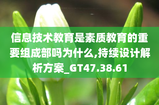 信息技术教育是素质教育的重要组成部吗为什么,持续设计解析方案_GT47.38.61