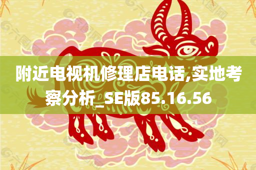 附近电视机修理店电话,实地考察分析_SE版85.16.56