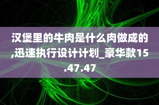 汉堡里的牛肉是什么肉做成的,迅速执行设计计划_豪华款15.47.47