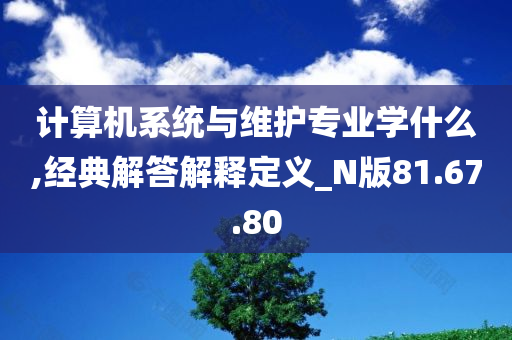 计算机系统与维护专业学什么,经典解答解释定义_N版81.67.80