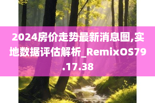 2024房价走势最新消息图,实地数据评估解析_RemixOS79.17.38