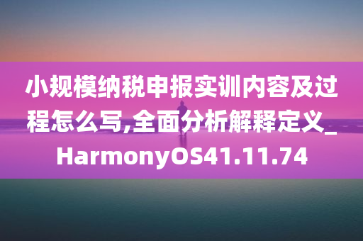 小规模纳税申报实训内容及过程怎么写,全面分析解释定义_HarmonyOS41.11.74