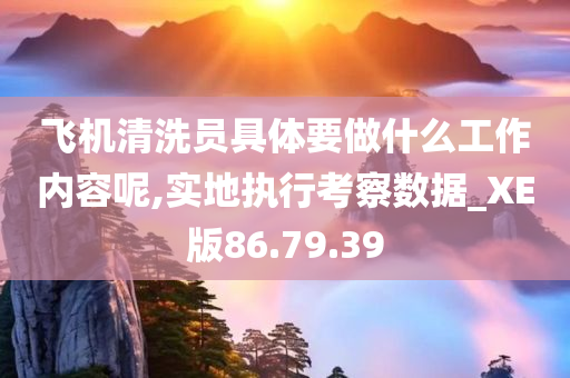 飞机清洗员具体要做什么工作内容呢,实地执行考察数据_XE版86.79.39