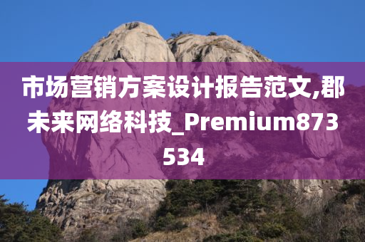 市场营销方案设计报告范文,郡未来网络科技_Premium873534