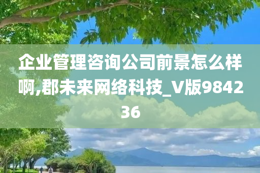 企业管理咨询公司前景怎么样啊,郡未来网络科技_V版984236