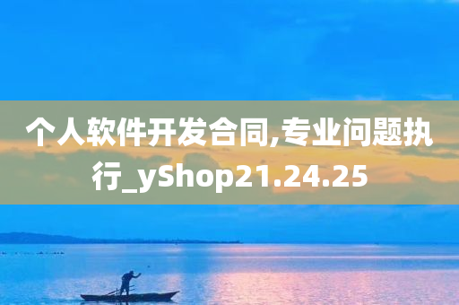 个人软件开发合同,专业问题执行_yShop21.24.25