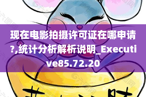 现在电影拍摄许可证在哪申请?,统计分析解析说明_Executive85.72.20