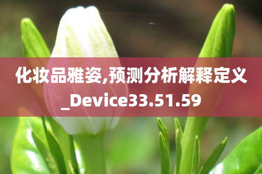 化妆品雅姿,预测分析解释定义_Device33.51.59