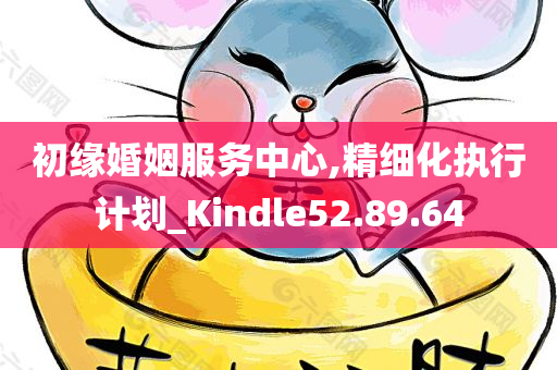 初缘婚姻服务中心,精细化执行计划_Kindle52.89.64