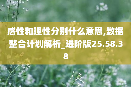 感性和理性分别什么意思,数据整合计划解析_进阶版25.58.38