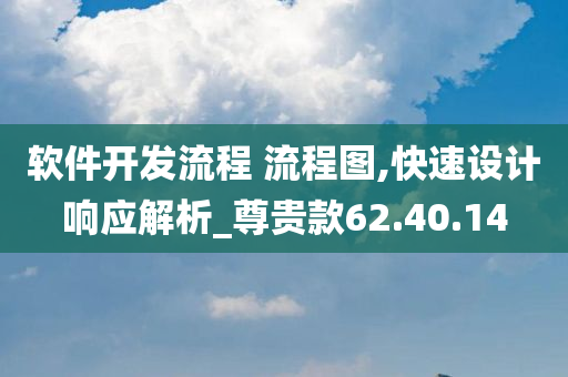 软件开发流程 流程图,快速设计响应解析_尊贵款62.40.14