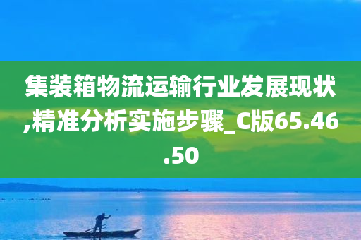 集装箱物流运输行业发展现状,精准分析实施步骤_C版65.46.50