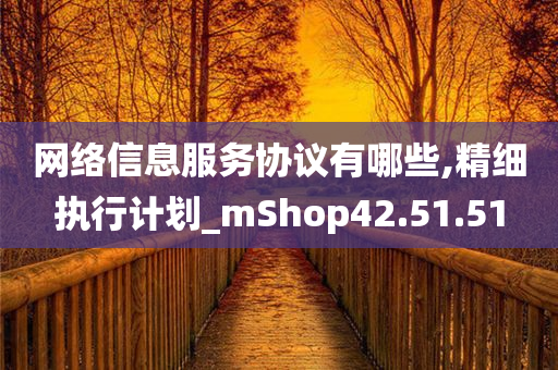 网络信息服务协议有哪些,精细执行计划_mShop42.51.51