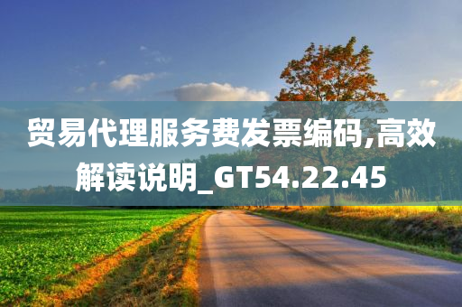 贸易代理服务费发票编码,高效解读说明_GT54.22.45