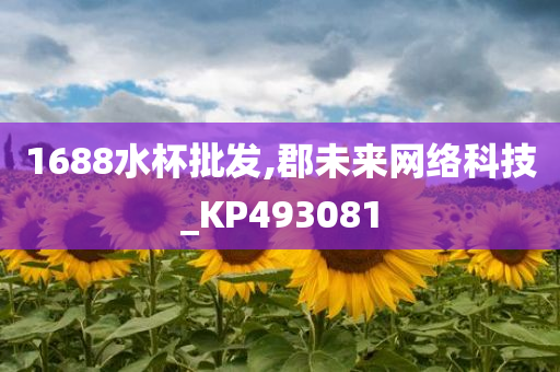 1688水杯批发,郡未来网络科技_KP493081