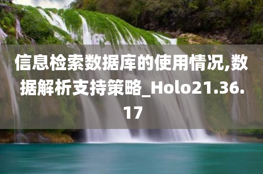 信息检索数据库的使用情况,数据解析支持策略_Holo21.36.17