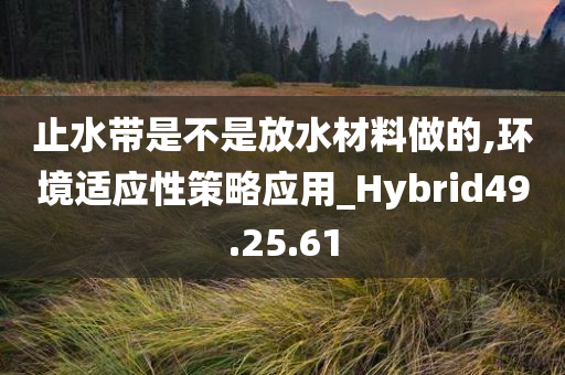 止水带是不是放水材料做的,环境适应性策略应用_Hybrid49.25.61