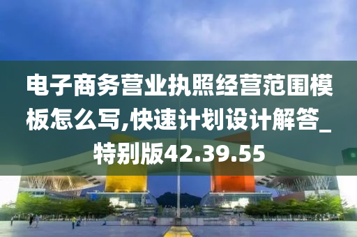 电子商务营业执照经营范围模板怎么写,快速计划设计解答_特别版42.39.55