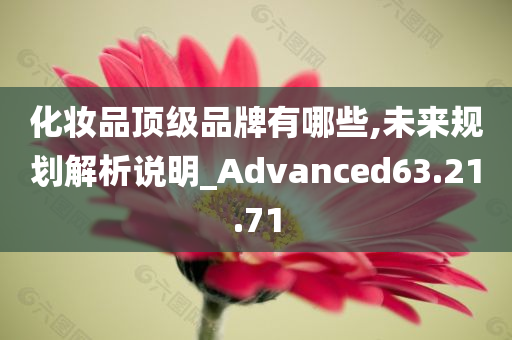 化妆品顶级品牌有哪些,未来规划解析说明_Advanced63.21.71