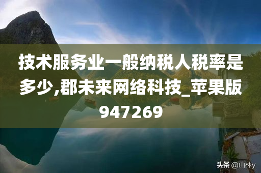 技术服务业一般纳税人税率是多少,郡未来网络科技_苹果版947269