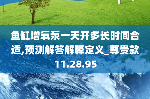 鱼缸增氧泵一天开多长时间合适,预测解答解释定义_尊贵款11.28.95