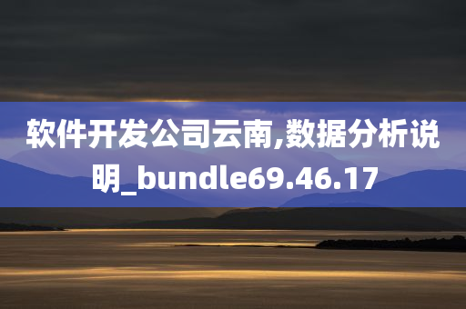 软件开发公司云南,数据分析说明_bundle69.46.17