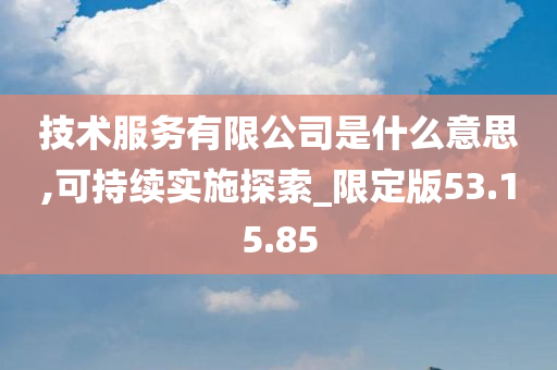 技术服务有限公司是什么意思,可持续实施探索_限定版53.15.85