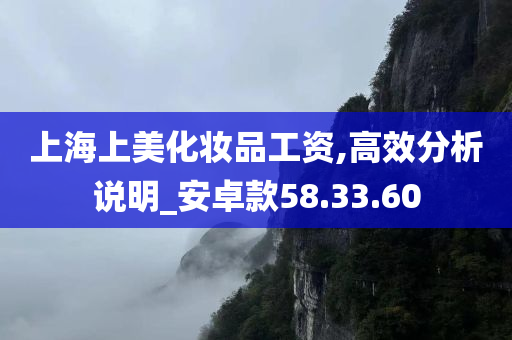 上海上美化妆品工资,高效分析说明_安卓款58.33.60