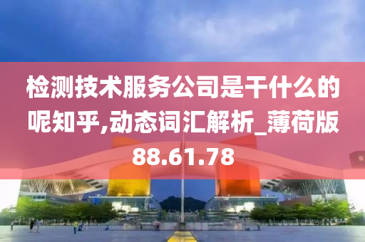 检测技术服务公司是干什么的呢知乎,动态词汇解析_薄荷版88.61.78