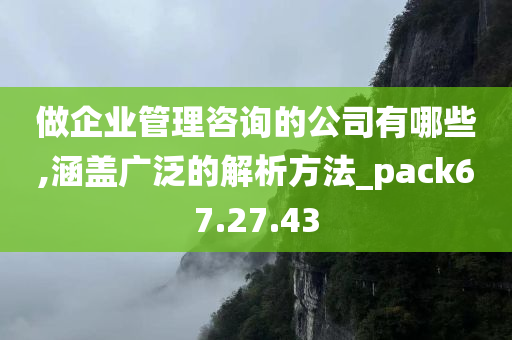 做企业管理咨询的公司有哪些,涵盖广泛的解析方法_pack67.27.43