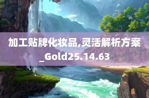 加工贴牌化妆品,灵活解析方案_Gold25.14.63