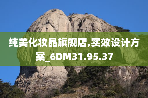 纯美化妆品旗舰店,实效设计方案_6DM31.95.37