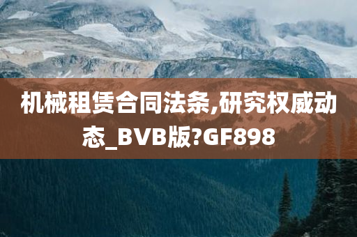 机械租赁合同法条,研究权威动态_BVB版?GF898