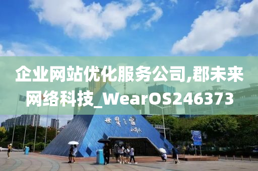 企业网站优化服务公司,郡未来网络科技_WearOS246373