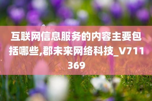 互联网信息服务的内容主要包括哪些,郡未来网络科技_V711369