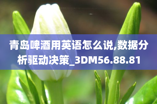 青岛啤酒用英语怎么说,数据分析驱动决策_3DM56.88.81