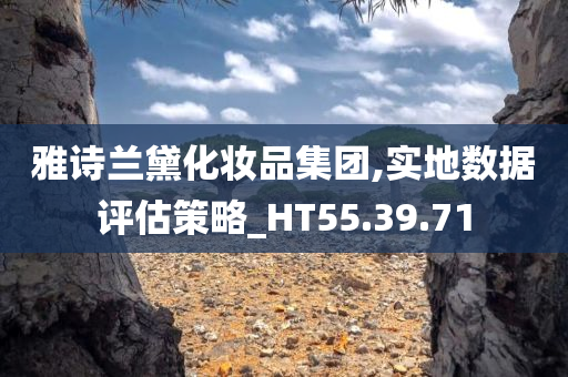 雅诗兰黛化妆品集团,实地数据评估策略_HT55.39.71